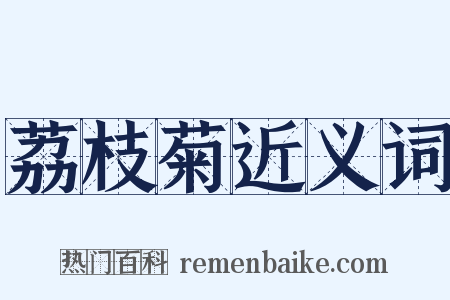 荔枝菊近义词是什么意思的图片